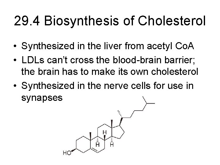 29. 4 Biosynthesis of Cholesterol • Synthesized in the liver from acetyl Co. A