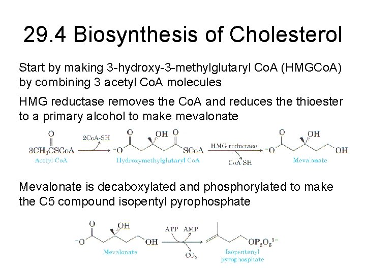 29. 4 Biosynthesis of Cholesterol Start by making 3 -hydroxy-3 -methylglutaryl Co. A (HMGCo.