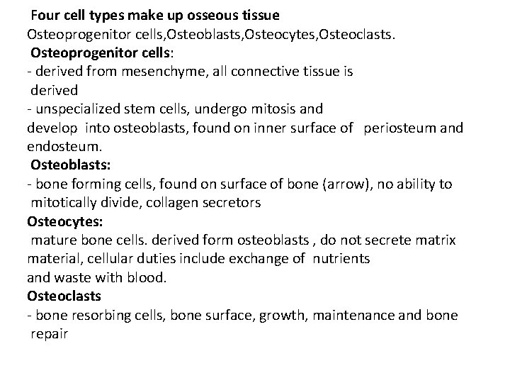 Four cell types make up osseous tissue Osteoprogenitor cells, Osteoblasts, Osteocytes, Osteoclasts. Osteoprogenitor cells: