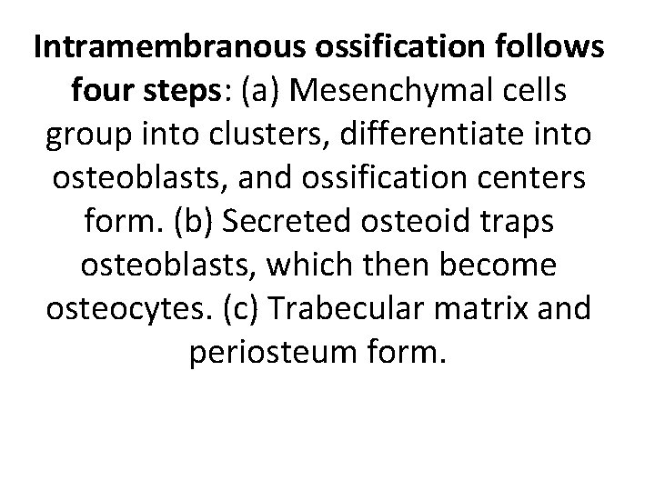 Intramembranous ossification follows four steps: (a) Mesenchymal cells group into clusters, differentiate into osteoblasts,