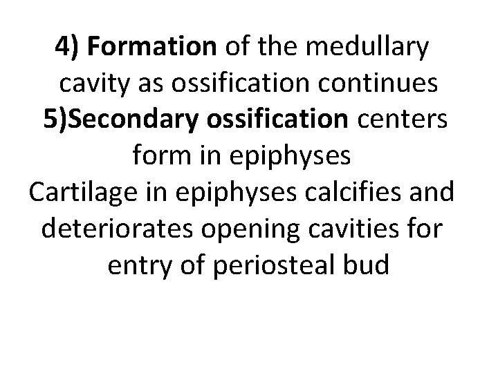 4) Formation of the medullary cavity as ossification continues 5)Secondary ossification centers form in