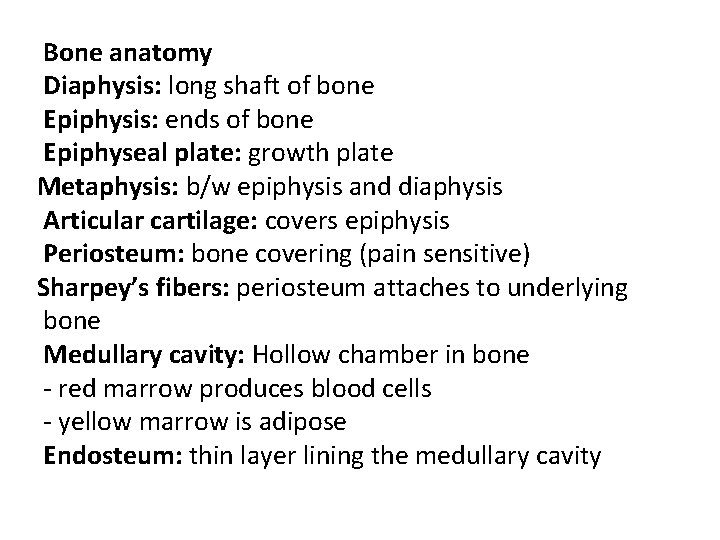 Bone anatomy Diaphysis: long shaft of bone Epiphysis: ends of bone Epiphyseal plate: growth