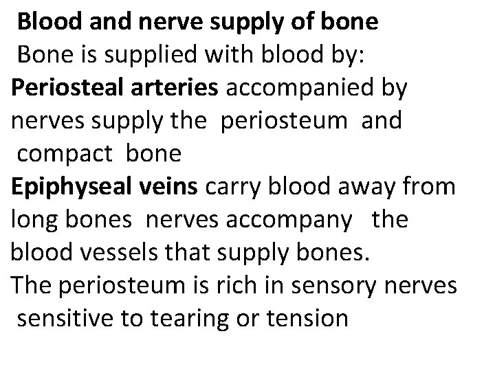 Blood and nerve supply of bone Bone is supplied with blood by: Periosteal arteries