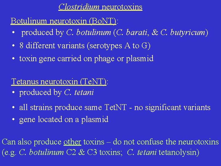 Clostridium neurotoxins Botulinum neurotoxin (Bo. NT): • produced by C. botulinum (C. barati, &