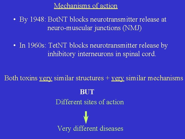 Mechanisms of action • By 1948: Bot. NT blocks neurotransmitter release at neuro-muscular junctions