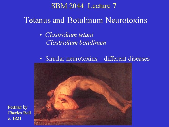 SBM 2044 Lecture 7 Tetanus and Botulinum Neurotoxins • Clostridium tetani Clostridium botulinum •