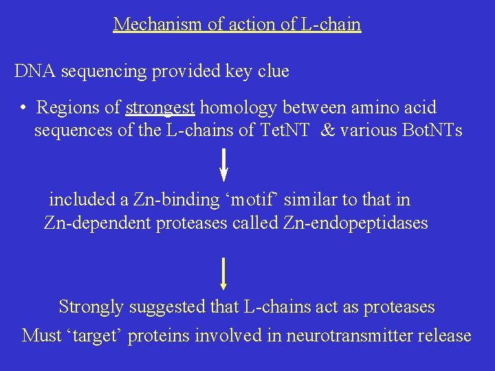 Mechanism of action of L-chain DNA sequencing provided key clue • Regions of strongest