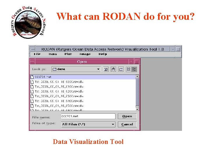 What can RODAN do for you? Data Visualization Tool 