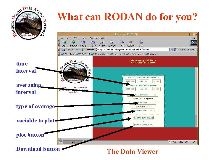 What can RODAN do for you? time interval averaging interval type of average variable