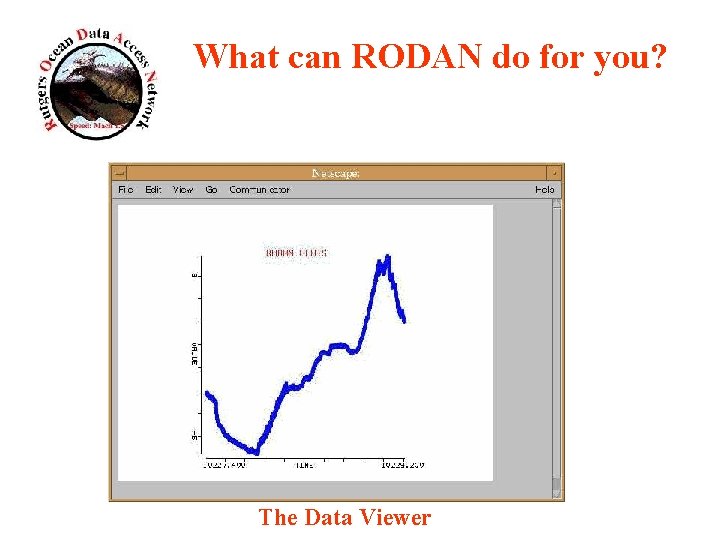 What can RODAN do for you? The Data Viewer 
