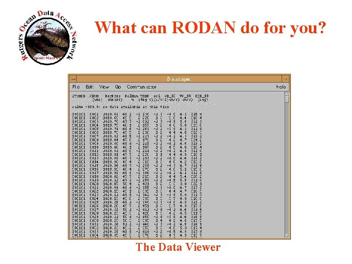 What can RODAN do for you? The Data Viewer 