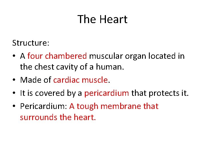 The Heart Structure: • A four chambered muscular organ located in the chest cavity