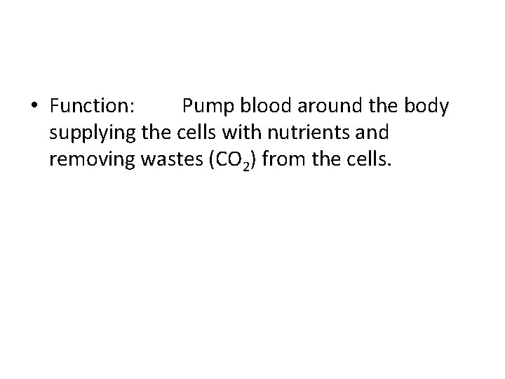  • Function: Pump blood around the body supplying the cells with nutrients and