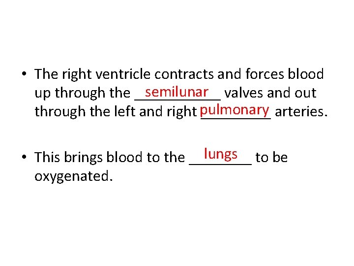  • The right ventricle contracts and forces blood semilunar up through the ______