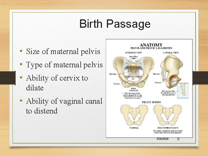 Birth Passage • Size of maternal pelvis • Type of maternal pelvis • Ability