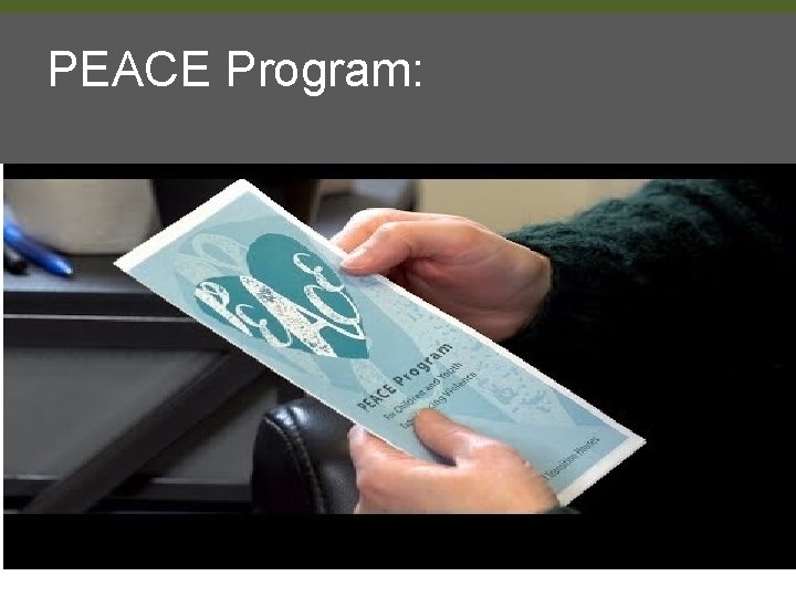 PEACE Program: 