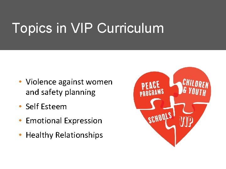 Topics in VIP Curriculum • Violence against women and safety planning • Self Esteem
