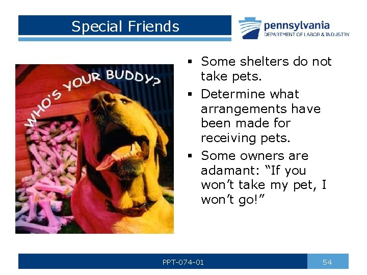 Special Friends § Some shelters do not take pets. § Determine what arrangements have