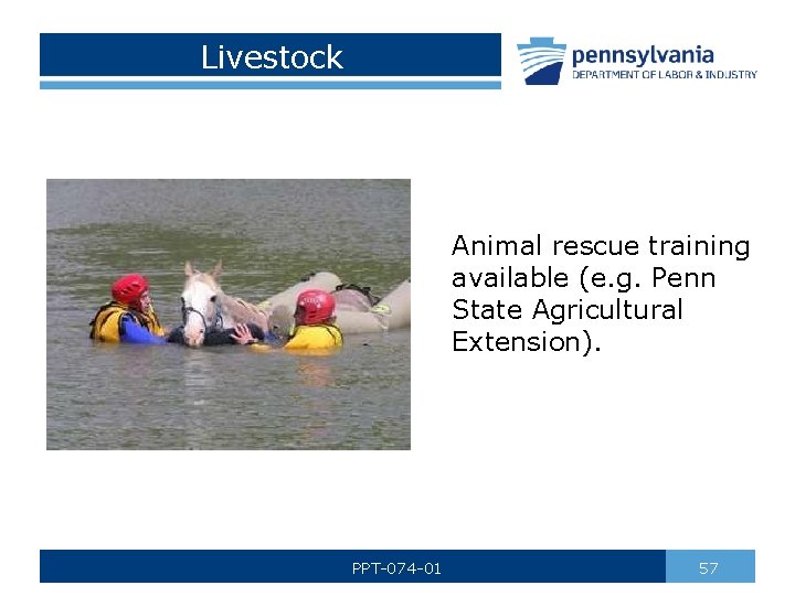Livestock Animal rescue training available (e. g. Penn State Agricultural Extension). PPT-074 -01 57