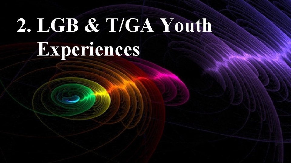 2. LGB & T/GA Youth Experiences 