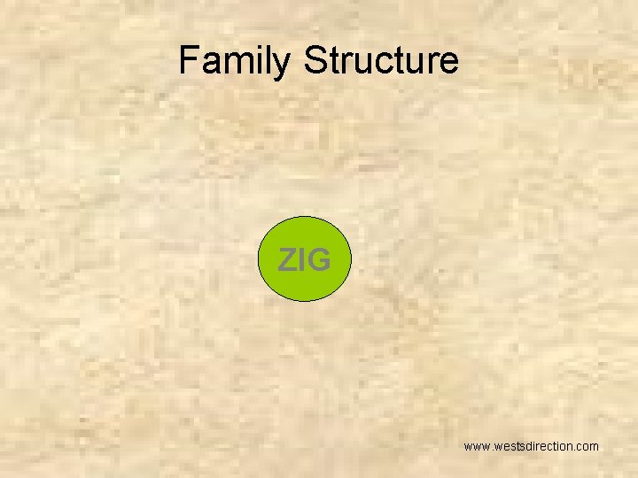 Family Structure ZIG www. westsdirection. com 