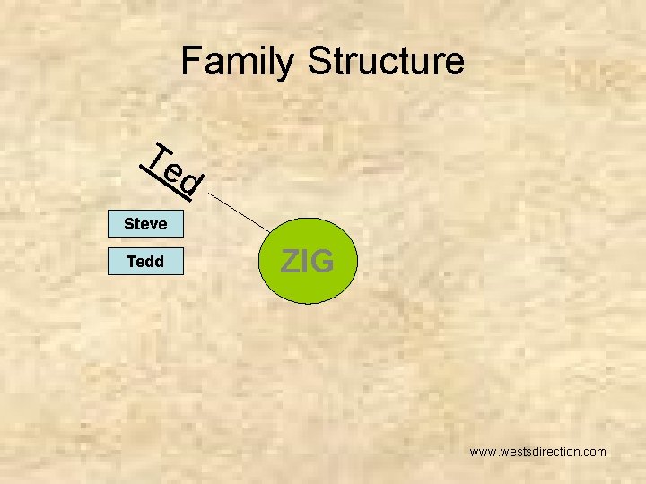 Family Structure Te d Steve Tedd ZIG www. westsdirection. com 
