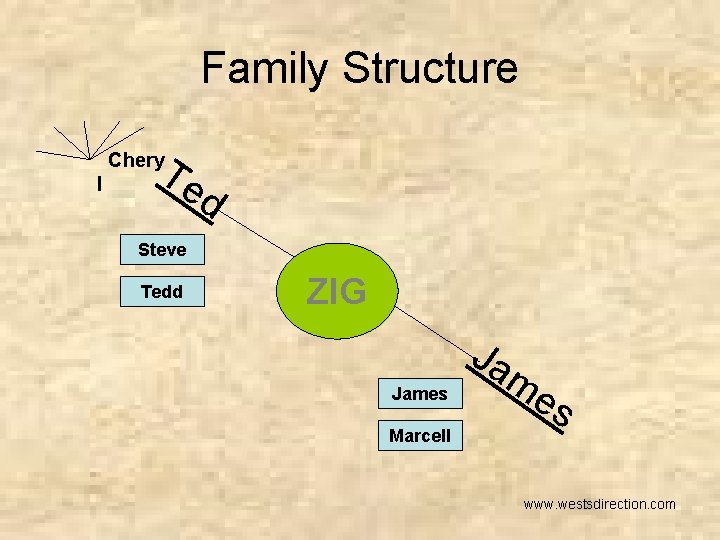 Family Structure Te Chery l d Steve Tedd ZIG Ja James Marcell me s