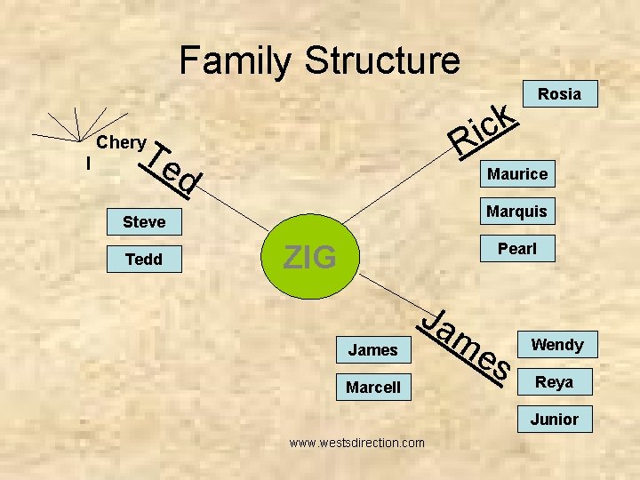 Family Structure k c i R Te Chery l d Maurice Marquis Steve Tedd
