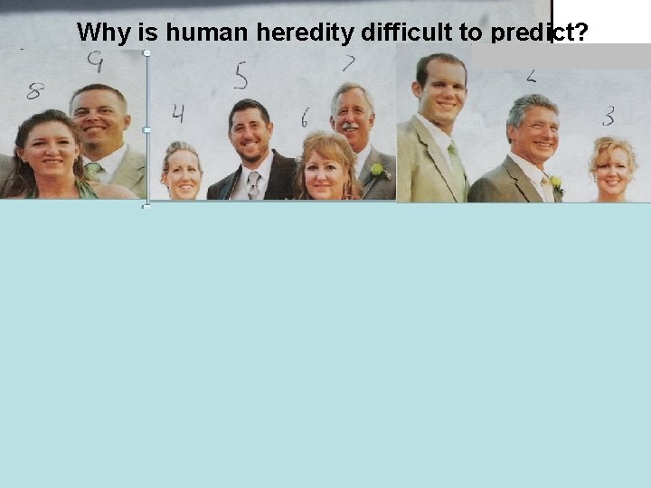 Why is human heredity difficult to predict? 