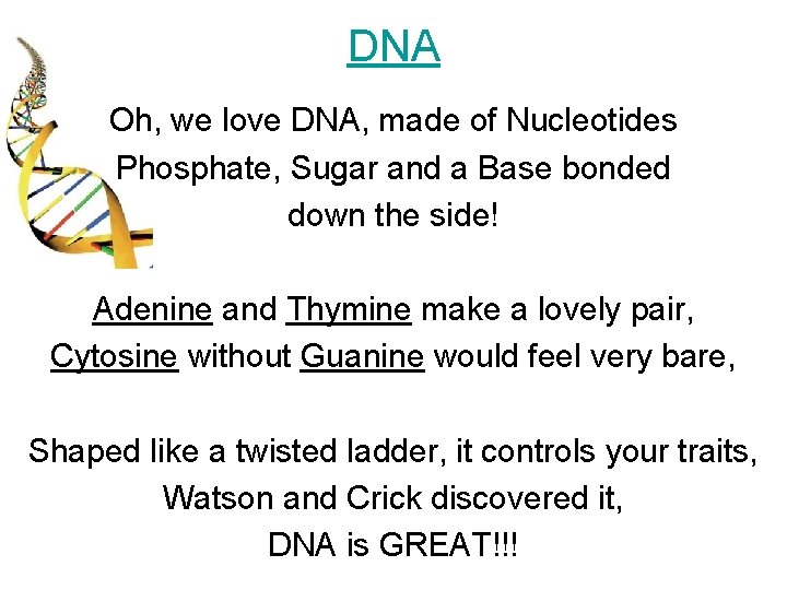 DNA Oh, we love DNA, made of Nucleotides Phosphate, Sugar and a Base bonded