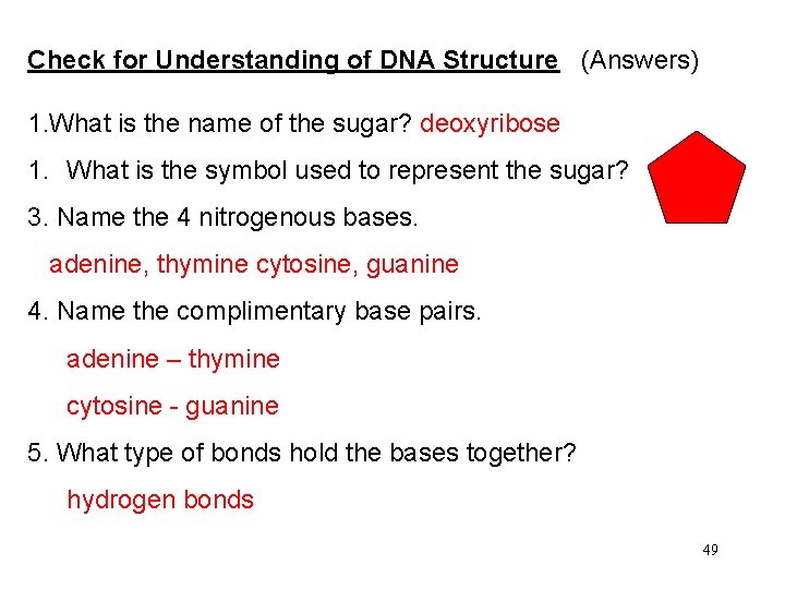 Check for Understanding of DNA Structure (Answers) 1. What is the name of the