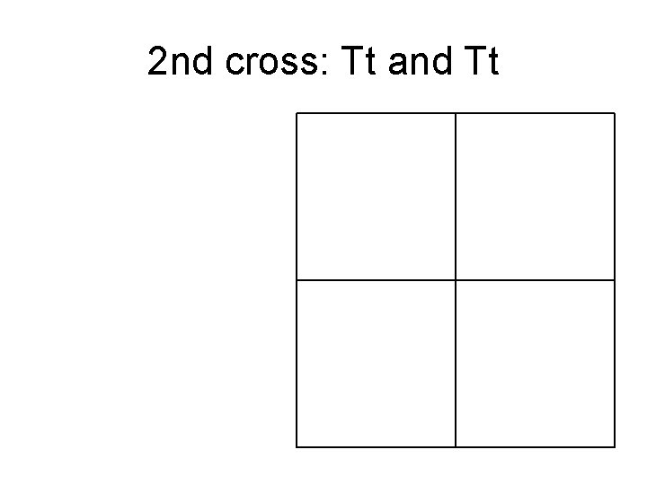 2 nd cross: Tt and Tt 