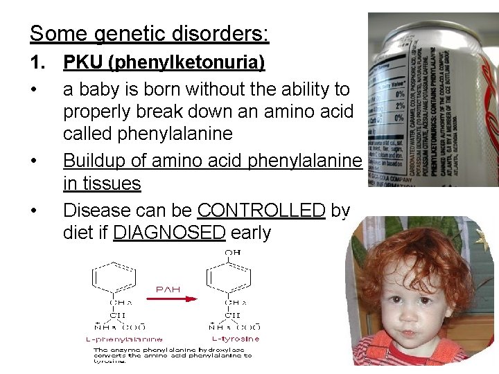 Some genetic disorders: 1. PKU (phenylketonuria) • a baby is born without the ability