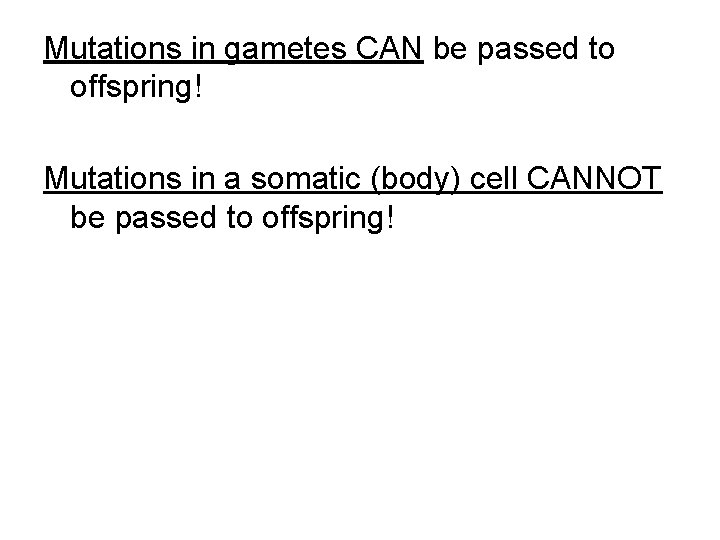 Mutations in gametes CAN be passed to offspring! Mutations in a somatic (body) cell