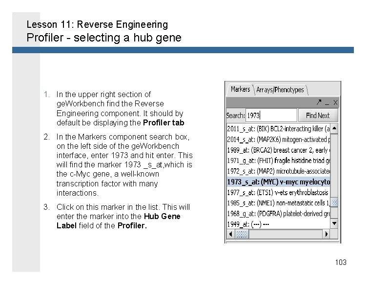 Lesson 11: Reverse Engineering Profiler - selecting a hub gene 1. In the upper