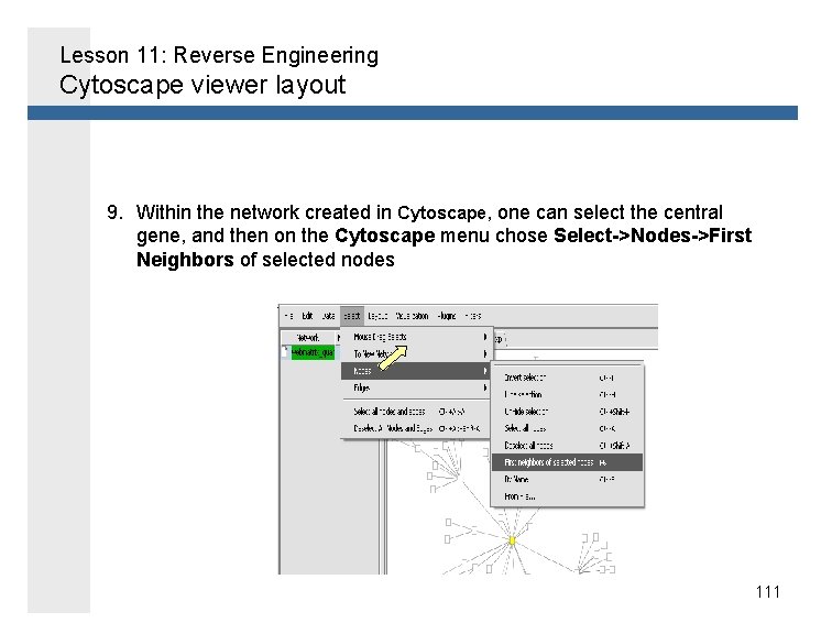 Lesson 11: Reverse Engineering Cytoscape viewer layout 9. Within the network created in Cytoscape,