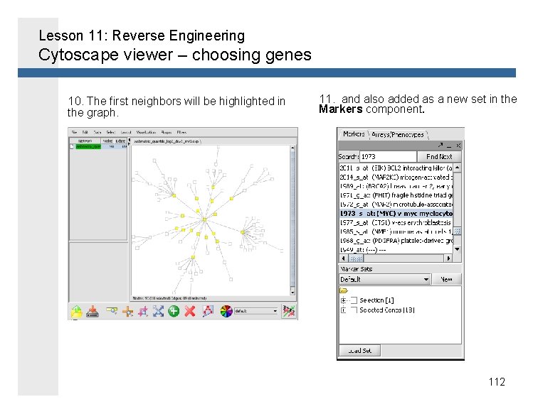 Lesson 11: Reverse Engineering Cytoscape viewer – choosing genes 10. The first neighbors will