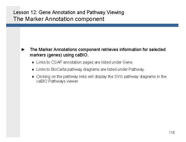 Lesson 12: Gene Annotation and Pathway Viewing The Marker Annotation component ► The Marker