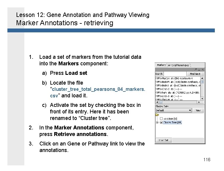 Lesson 12: Gene Annotation and Pathway Viewing Marker Annotations - retrieving 1. Load a