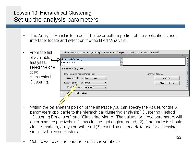 Lesson 13: Hierarchical Clustering Set up the analysis parameters • The Analysis Panel is