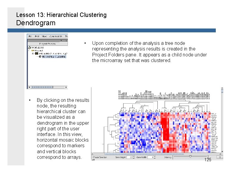 Lesson 13: Hierarchical Clustering Dendrogram • • By clicking on the results node, the