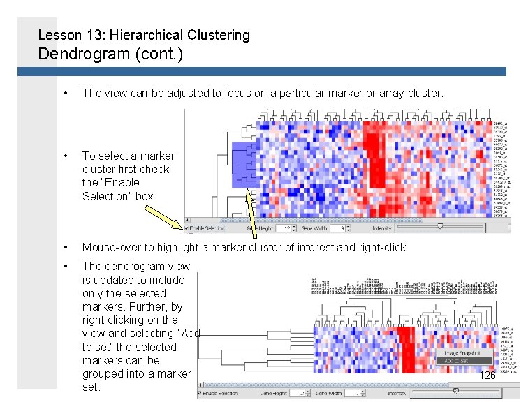 Lesson 13: Hierarchical Clustering Dendrogram (cont. ) • The view can be adjusted to