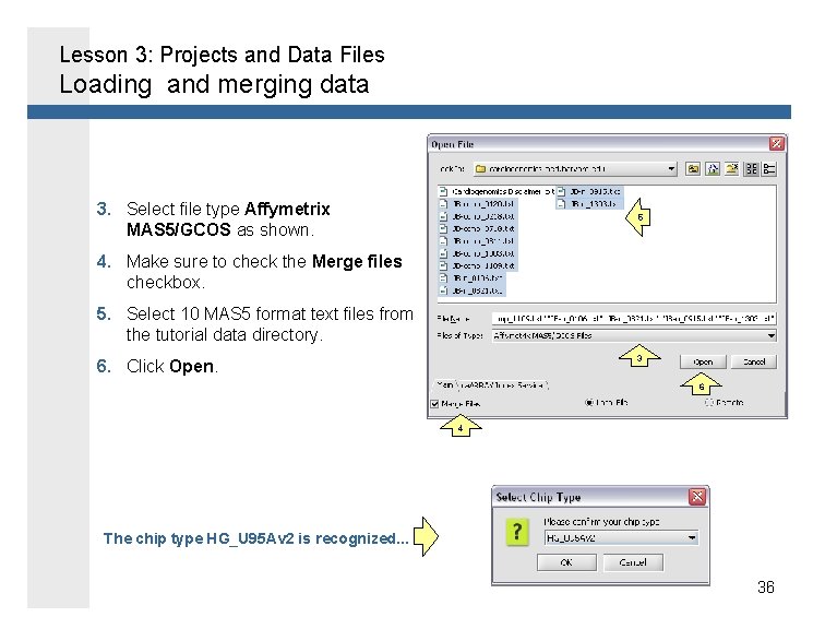 Lesson 3: Projects and Data Files Loading and merging data 3. Select file type