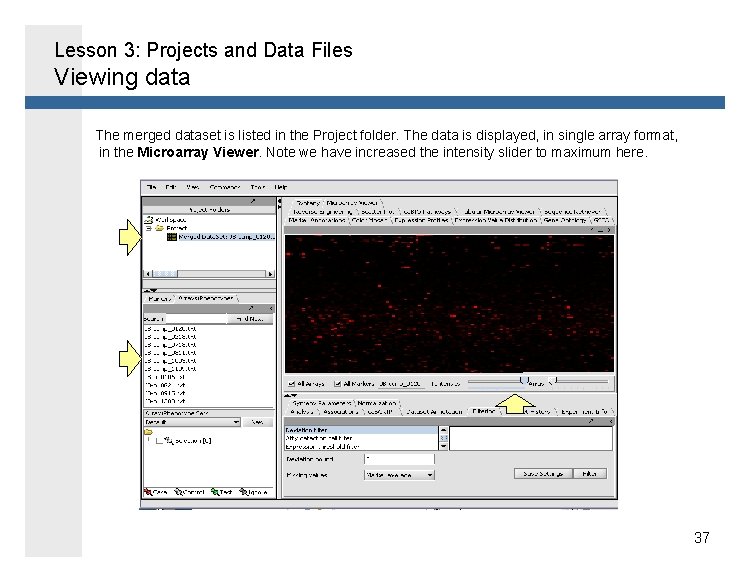 Lesson 3: Projects and Data Files Viewing data The merged dataset is listed in