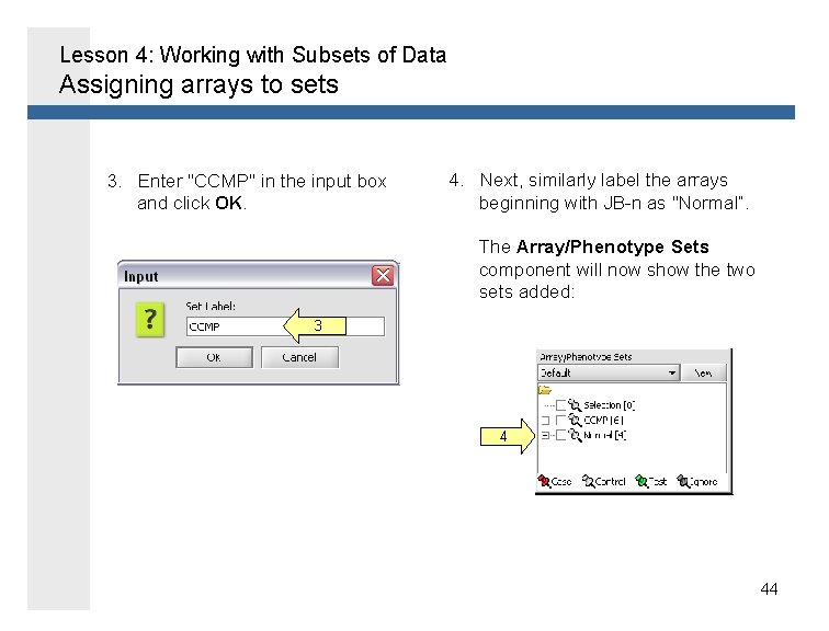 Lesson 4: Working with Subsets of Data Assigning arrays to sets 3. Enter "CCMP"