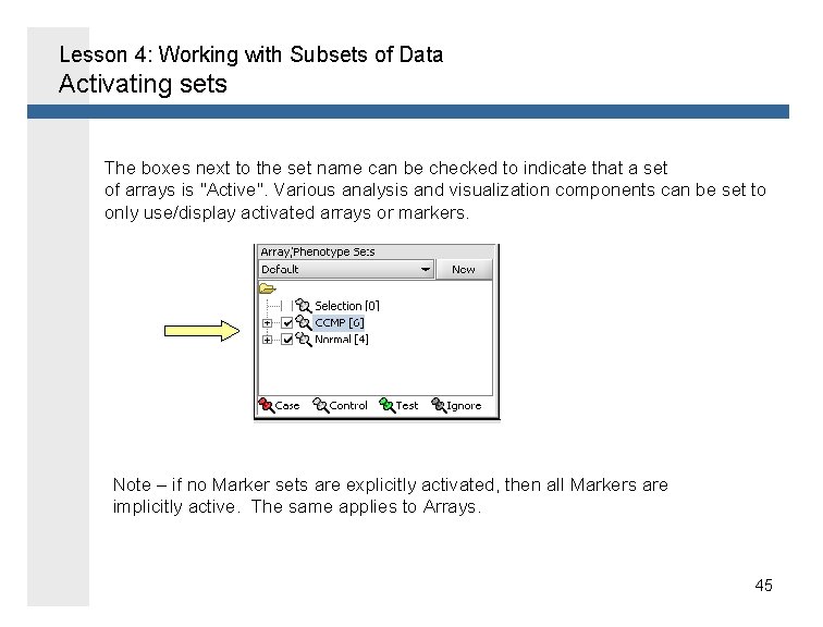 Lesson 4: Working with Subsets of Data Activating sets The boxes next to the