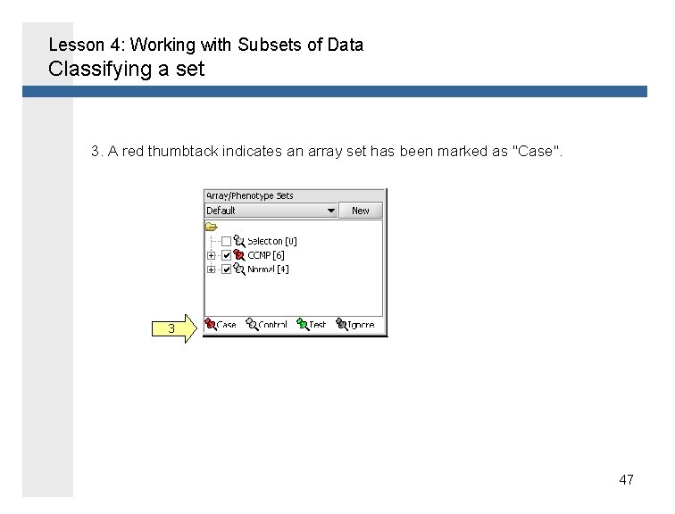 Lesson 4: Working with Subsets of Data Classifying a set 3. A red thumbtack