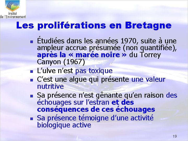 Les proliférations en Bretagne n n n Étudiées dans les années 1970, suite à