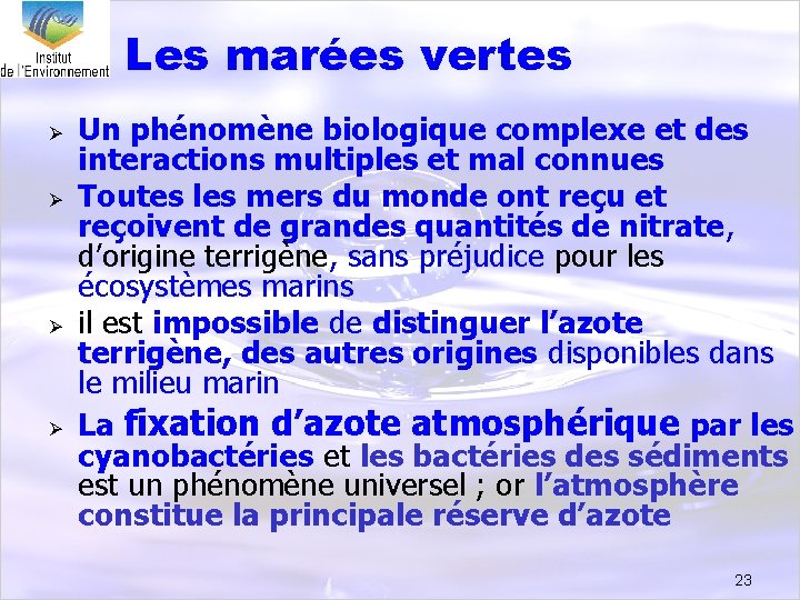 Les marées vertes Ø Ø Un phénomène biologique complexe et des interactions multiples et