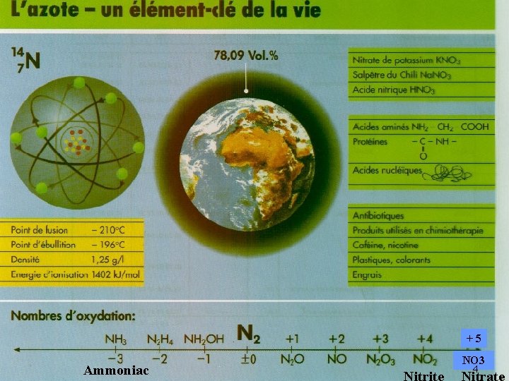 + 5 Ammoniac NO 3 Nitrite 4 Nitrate 